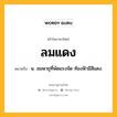 ลมแดง หมายถึงอะไร?, คำในภาษาไทย ลมแดง หมายถึง น. ลมพายุที่พัดแรงจัด ท้องฟ้ามีสีแดง.