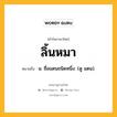 ลิ้นหมา หมายถึงอะไร?, คำในภาษาไทย ลิ้นหมา หมายถึง น. ชื่อแตนชนิดหนึ่ง. (ดู แตน).