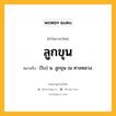 ลูกขุน หมายถึงอะไร?, คำในภาษาไทย ลูกขุน หมายถึง (โบ) น. ลูกขุน ณ ศาลหลวง.