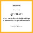 ลูกครอก หมายถึงอะไร?, คำในภาษาไทย ลูกครอก หมายถึง น. ลูกปลาจําพวกปลาช่อนที่ตามพ่อเป็นฝูง ๆ, ลูกชักครอก ก็ว่า; (โบ) ลูกทาสที่เกิดในเรือนเบี้ย.