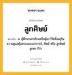 ลูกศิษย์ หมายถึงอะไร?, คำในภาษาไทย ลูกศิษย์ หมายถึง น. ผู้ศึกษาเล่าเรียนหรือผู้เยาว์วัยซึ่งอยู่ในความดูแลคุ้มครองของอาจารย์, ศิษย์ หรือ ลูกศิษย์ลูกหา ก็ว่า.