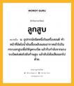 ลูกสูบ หมายถึงอะไร?, คำในภาษาไทย ลูกสูบ หมายถึง น. อุปกรณ์ชนิดหนึ่งในเครื่องยนต์ ทําหน้าที่อัดไอนํ้ามันเชื้อเพลิงผสมอากาศเข้าไปในกระบอกสูบเพื่อให้จุดระเบิด แล้วรับกําลังจากแรงระเบิดส่งต่อไปยังก้านสูบ แล้วขับไล่ไอเสียออกไปด้วย.