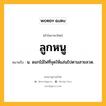 ลูกหนู หมายถึงอะไร?, คำในภาษาไทย ลูกหนู หมายถึง น. ดอกไม้ไฟที่จุดให้แล่นไปตามสายลวด.