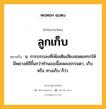 ลูกเก็บ หมายถึงอะไร?, คำในภาษาไทย ลูกเก็บ หมายถึง น. การบรรเลงที่เพิ่มเติมเสียงสอดแทรกให้มีพยางค์ถี่ขึ้นกว่าทำนองเนื้อเพลงธรรมดา, เก็บ หรือ ทางเก็บ ก็ว่า.