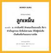 ลูกเหม็น หมายถึงอะไร?, คำในภาษาไทย ลูกเหม็น หมายถึง น. สารอินทรีย์ ลักษณะเป็นของแข็ง สีขาว ทำเป็นลูกกลม มีกลิ่นไม่ชวนดม ใช้ใส่ตู้หนังสือเป็นต้นเพื่อกันแมลงบางชนิด.