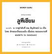 ลูทีเชียม หมายถึงอะไร?, คำในภาษาไทย ลูทีเชียม หมายถึง น. ธาตุลําดับที่ ๗๑ สัญลักษณ์ Lu เป็นโลหะ ลักษณะเป็นของแข็ง เนื้ออ่อน หลอมละลายที่ ๑๖๕๒°ซ. (อ. lutetium).