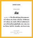 ล่ม หมายถึงอะไร?, คำในภาษาไทย ล่ม หมายถึง ก. กิริยาที่ทรงตัวไม่อยู่ เอียงจนตะแคง คว่ำ หรือจม เช่น เรือล่ม เกวียนล่ม, ทำให้ตะแคง คว่ำ หรือจม เช่น ล่มเรือ; ได้รับความเสียหายมากเพราะน้ำท่วมหรือพายุพัดเป็นต้น เช่น นาล่ม สวนล่ม โป๊ะล่ม; ไม่สำเร็จ, ไม่รอดฝั่ง, เช่น โครงการล่ม.