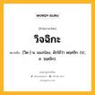 วิจฉิกะ หมายถึงอะไร?, คำในภาษาไทย วิจฉิกะ หมายถึง [วิด-] น. แมงป่อง, มักใช้ว่า พฤศจิก. (ป.; ส. วฺฤศฺจิก).