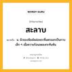 สะลาบ หมายถึงอะไร?, คำในภาษาไทย สะลาบ หมายถึง น. ผิวของพิมพ์หล่อพระที่แตกออกเป็นกาบเล็ก ๆ เมื่อความร้อนลดลงกะทันหัน.