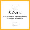 สัมมัปธาน หมายถึงอะไร?, คำในภาษาไทย สัมมัปธาน หมายถึง [สํามับปะทาน] น. ความเพียรที่ตั้งไว้ชอบ. (ป. สมฺมปฺปธาน; ส. สมฺยกฺปฺรธาน).