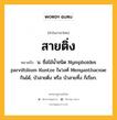 สายติ่ง หมายถึงอะไร?, คำในภาษาไทย สายติ่ง หมายถึง น. ชื่อไม้น้ำชนิด Nymphoides parvifolium Kuntze ในวงศ์ Menyanthaceae กินได้, บัวสายติ่ง หรือ บัวสายทิ้ง ก็เรียก.