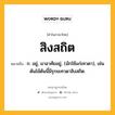 สิงสถิต หมายถึงอะไร?, คำในภาษาไทย สิงสถิต หมายถึง ก. อยู่, มาอาศัยอยู่, (มักใช้แก่เทวดา), เช่น ต้นไม้ต้นนี้มีรุกขเทวดาสิงสถิต.