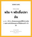 หงิม ๆ หยิบชิ้นปลามัน หมายถึงอะไร?, คำในภาษาไทย หงิม ๆ หยิบชิ้นปลามัน หมายถึง (สำ) น. ลักษณะของบุคคลที่มีท่าทางหงิม ๆ แต่ความจริงเป็นคนฉลาด มีวิธีเลือกเอาดี ๆ ไปได้.