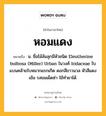 หอมแดง หมายถึงอะไร?, คำในภาษาไทย หอมแดง หมายถึง น. ชื่อไม้ล้มลุกมีหัวชนิด Eleutherine bulbosa (Miller) Urban ในวงศ์ Iridaceae ใบแบนคล้ายใบหมากแรกเกิด ดอกสีขาวนวล หัวสีแดงเข้ม รสขมเผ็ดซ่า ใช้ทํายาได้.