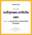 อกอีปุกแตก,อกอีแป้นแตก หมายถึงอะไร?, คำในภาษาไทย อกอีปุกแตก,อกอีแป้นแตก หมายถึง อ. คำพูดที่เปล่งออกมาเมื่อตกใจเป็นต้น (ใช้แก่ผู้หญิง).