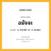 อมัจจะ หมายถึงอะไร?, คำในภาษาไทย อมัจจะ หมายถึง น. อํามาตย์. (ป.; ส. อมาตฺย).