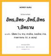 อัทธ,อัทธ-,อัทธ์,อัทธา,อัทธาน หมายถึงอะไร?, คำในภาษาไทย อัทธ,อัทธ-,อัทธ์,อัทธา,อัทธาน หมายถึง [อัดทะ-] น. ทาง, ทางไกล, ระยะไกล; กาล, กาลยาวนาน. (ป.; ส. อธฺวนฺ).