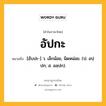 อัปกะ หมายถึงอะไร?, คำในภาษาไทย อัปกะ หมายถึง [อับปะ-] ว. เล็กน้อย, นิดหน่อย. (ป. อปฺปก; ส. อลฺปก).