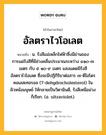 อัลตราไวโอเลต หมายถึงอะไร?, คำในภาษาไทย อัลตราไวโอเลต หมายถึง น. รังสีแม่เหล็กไฟฟ้าซึ่งมีย่านของการแผ่รังสีที่มีช่วงคลื่นประมาณระหว่าง ๔๑๐-๗ เมตร กับ ๕ ๑๐-๙ เมตร แสงแดดมีรังสีอัลตราไวโอเลต ซึ่งจะมีปฏิกิริยาต่อสาร ๗-ดีไฮโดรคอเลสเทอรอล (7-dehydrocholesterol) ในผิวหนังมนุษย์ ให้กลายเป็นวิตามินดี, รังสีเหนือม่วง ก็เรียก. (อ. ultraviolet).