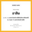 อาสิน หมายถึงอะไร?, คำในภาษาไทย อาสิน หมายถึง น. ผลประโยชน์รายได้อันเกิดจากต้นผลไม้. (ม. hasil ว่า ผลประโยชน์รายได้).