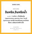 อินทนิล,อินทนิลน้ำ หมายถึงอะไร?, คำในภาษาไทย อินทนิล,อินทนิลน้ำ หมายถึง [-ทะนิน] น. ชื่อไม้ต้นชนิด Lagerstroemia speciosa Pers. ในวงศ์ Lythraceae ดอกสีม่วงแดงหรือชมพู ออกเป็นช่อตั้งตรง เมล็ดและใบใช้ทํายาได้.