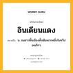 อินเดียนแดง หมายถึงอะไร?, คำในภาษาไทย อินเดียนแดง หมายถึง น. ชนชาวพื้นเมืองดั้งเดิมพวกหนึ่งในทวีปอเมริกา.