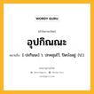 อุปกิณณะ หมายถึงอะไร?, คำในภาษาไทย อุปกิณณะ หมายถึง [-ปะกินนะ] ว. ปกคลุมไว้, ปิดบังอยู่. (ป.).