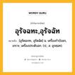 อุรัจฉทะ,อุรัจฉัท หมายถึงอะไร?, คำในภาษาไทย อุรัจฉทะ,อุรัจฉัท หมายถึง [อุรัดฉะทะ, อุรัดฉัด] น. เครื่องกําบังอก, เกราะ; เครื่องประดับอก. (ป.; ส. อุรศฺฉท).