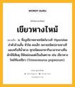 เขียวหางไหม้ หมายถึงอะไร?, คำในภาษาไทย เขียวหางไหม้ หมายถึง น. ชื่องูเขียวหลายชนิดในวงศ์ Viperidae ลําตัวอ้วนสั้น หัวโต คอเล็ก หลายชนิดปลายหางสีแดงหรือสีน้ำตาล ทุกชนิดออกหากินเวลากลางคืน มักมีนิสัยดุ มีพิษอ่อนแต่เป็นอันตราย เช่น เขียวหางไหม้ท้องเขียว (Trimeresurus popeorum).