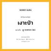 เงาะป่า หมายถึงอะไร?, คำในภาษาไทย เงาะป่า หมายถึง ดู กะทกรก (๒).