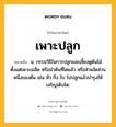 เพาะปลูก หมายถึงอะไร?, คำในภาษาไทย เพาะปลูก หมายถึง น. กรรมวิธีในการปลูกและเลี้ยงดูต้นไม้ตั้งแต่เพาะเมล็ด หรือนำต้นที่โตแล้ว หรือส่วนใดส่วนหนึ่งของต้น เช่น หัว กิ่ง ใบ ไปปลูกแล้วบำรุงให้เจริญเติบโต.