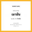 เมามัน หมายถึงอะไร?, คำในภาษาไทย เมามัน หมายถึง ก. บ้าคลั่ง.