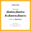 เลือดโชก,เลือดท่วมตัว,เลือดสาด,เลือดอาบ หมายถึงอะไร?, คำในภาษาไทย เลือดโชก,เลือดท่วมตัว,เลือดสาด,เลือดอาบ หมายถึง น. เลือดออกมาก.