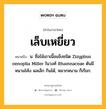 เล็บเหยี่ยว หมายถึงอะไร?, คำในภาษาไทย เล็บเหยี่ยว หมายถึง น. ชื่อไม้เถาเนื้อแข็งชนิด Zizyphus oenoplia Miller ในวงศ์ Rhamnaceae ต้นมีหนามโค้ง ผลเล็ก กินได้, หมากหนาม ก็เรียก.