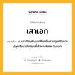 เสาเอก หมายถึงอะไร?, คำในภาษาไทย เสาเอก หมายถึง น. เสาเรือนต้นแรกที่ยกขึ้นตามฤกษ์ในการปลูกเรือน มักนิยมตั้งไว้ทางทิศตะวันออก.