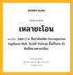 เหลาชะโอน หมายถึงอะไร?, คำในภาษาไทย เหลาชะโอน หมายถึง [เหฺลา-] น. ชื่อปาล์มชนิด Oncosperma tigillaria Ridl. ในวงศ์ Palmae ขึ้นเป็นกอ ลําต้นมีหนามตามปล้อง.