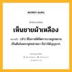 เห็นชายผ้าเหลือง หมายถึงอะไร?, คำในภาษาไทย เห็นชายผ้าเหลือง หมายถึง (สำ) มีโอกาสได้จัดการบวชลูกหลานเป็นต้นในพระพุทธศาสนา ถือว่าได้บุญมาก.