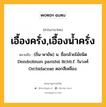 เอื้องครั่ง,เอื้องน้ำครั่ง หมายถึงอะไร?, คำในภาษาไทย เอื้องครั่ง,เอื้องน้ำครั่ง หมายถึง (ถิ่น-พายัพ) น. ชื่อกล้วยไม้ชนิด Dendrobium parishii Rchb.f. ในวงศ์ Orchidaceae ดอกสีเหลือง.