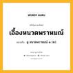 เอื้องหนวดพราหมณ์ หมายถึงอะไร?, คำในภาษาไทย เอื้องหนวดพราหมณ์ หมายถึง ดู หนวดพราหมณ์ ๑ (๒).