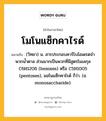 โมโนแซ็กคาไรด์ หมายถึงอะไร?, คำในภาษาไทย โมโนแซ็กคาไรด์ หมายถึง (วิทยา) น. สารประกอบคาร์โบไฮเดรตจําพวกนํ้าตาล ส่วนมากเป็นพวกที่มีสูตรโมเลกุล C6H12O6 (hexoses) หรือ C5H10O5 (pentoses), มอโนแซ็กคาไรด์ ก็ว่า. (อ. monosaccharide).