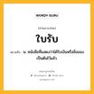 ใบรับ หมายถึงอะไร?, คำในภาษาไทย ใบรับ หมายถึง น. หนังสือที่แสดงว่าได้รับเงินหรือสิ่งของเป็นต้นไว้แล้ว.