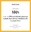 ไข้ป่า หมายถึงอะไร?, คำในภาษาไทย ไข้ป่า หมายถึง น. ไข้ที่รับจากป่าหรือดงดิบ เกิดเพราะถูกอายพิษดิน พิษแร่ หรือว่านยา หรือเชื้อไข้มาลาเรีย. (อ. jungle fever).