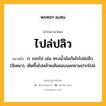 ไปล่ปลิว หมายถึงอะไร?, คำในภาษาไทย ไปล่ปลิว หมายถึง ก. ขจรไป เช่น ทรงนํ้ามันกันไรไปล่ปลิว. (อิเหนา), เชิดขึ้นไปคล้ายเส้นขอบนอกชามปากไปล่.