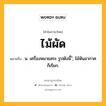 ไม้ผัด หมายถึงอะไร?, คำในภาษาไทย ไม้ผัด หมายถึง น. เครื่องหมายสระ รูปดังนี้ ั, ไม้หันอากาศ ก็เรียก.