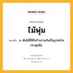 ไม้พุ่ม หมายถึงอะไร?, คำในภาษาไทย ไม้พุ่ม หมายถึง น. ต้นไม้ที่มีกิ่งก้านรวมกันเป็นรูปคล้ายกระพุ่มมือ.