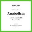 Anabolism เขียนเป็นคำไทยว่าอะไร?, คำศัพท์ภาษาอังกฤษ Anabolism ทับศัพท์เป็น แอแนบอลิซึม อื่น ๆ อนาบอลิซึม