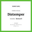 distemper เขียนเป็นคำไทยว่าอะไร?, คำศัพท์ภาษาอังกฤษ distemper ทับศัพท์เป็น ดิสเทมเปอร์