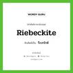 riebeckite เขียนเป็นคำไทยว่าอะไร?, คำศัพท์ภาษาอังกฤษ riebeckite ทับศัพท์เป็น รีเบกไกต์