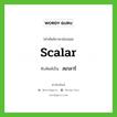 scalar เขียนเป็นคำไทยว่าอะไร?, คำศัพท์ภาษาอังกฤษ scalar ทับศัพท์เป็น สเกลาร์