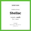 shellac เขียนเป็นคำไทยว่าอะไร?, คำศัพท์ภาษาอังกฤษ shellac ทับศัพท์เป็น เชลแล็ก อื่น ๆ เชลแลก